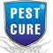 Pest Control Services In Faridabad